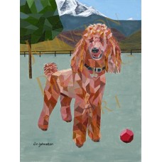 Red Standard Poodle Red Standard Poodle